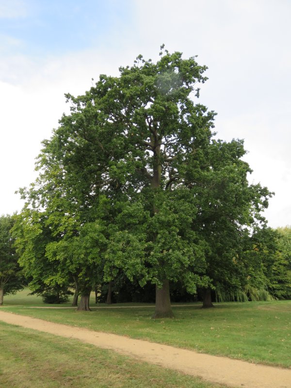 Cuddington Recreation Ground